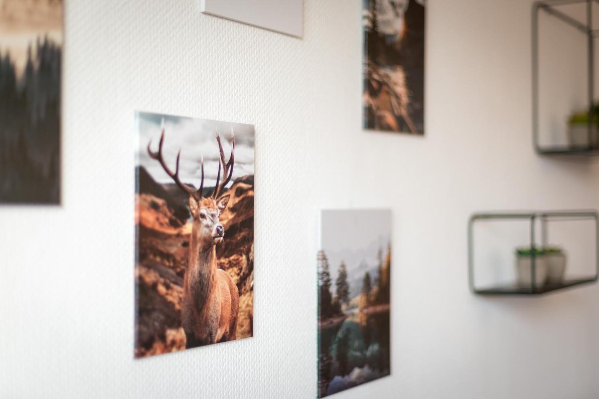 Immo-Vision - Natur Design Apartments, Parkplatz, Kueche Calberlah エクステリア 写真